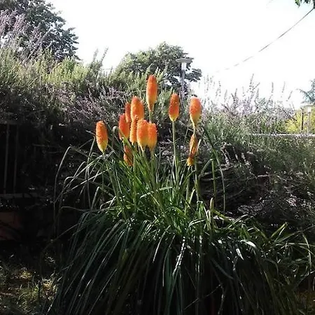 Enzo With Air-condition And Wi-fi Apartamento Zadar